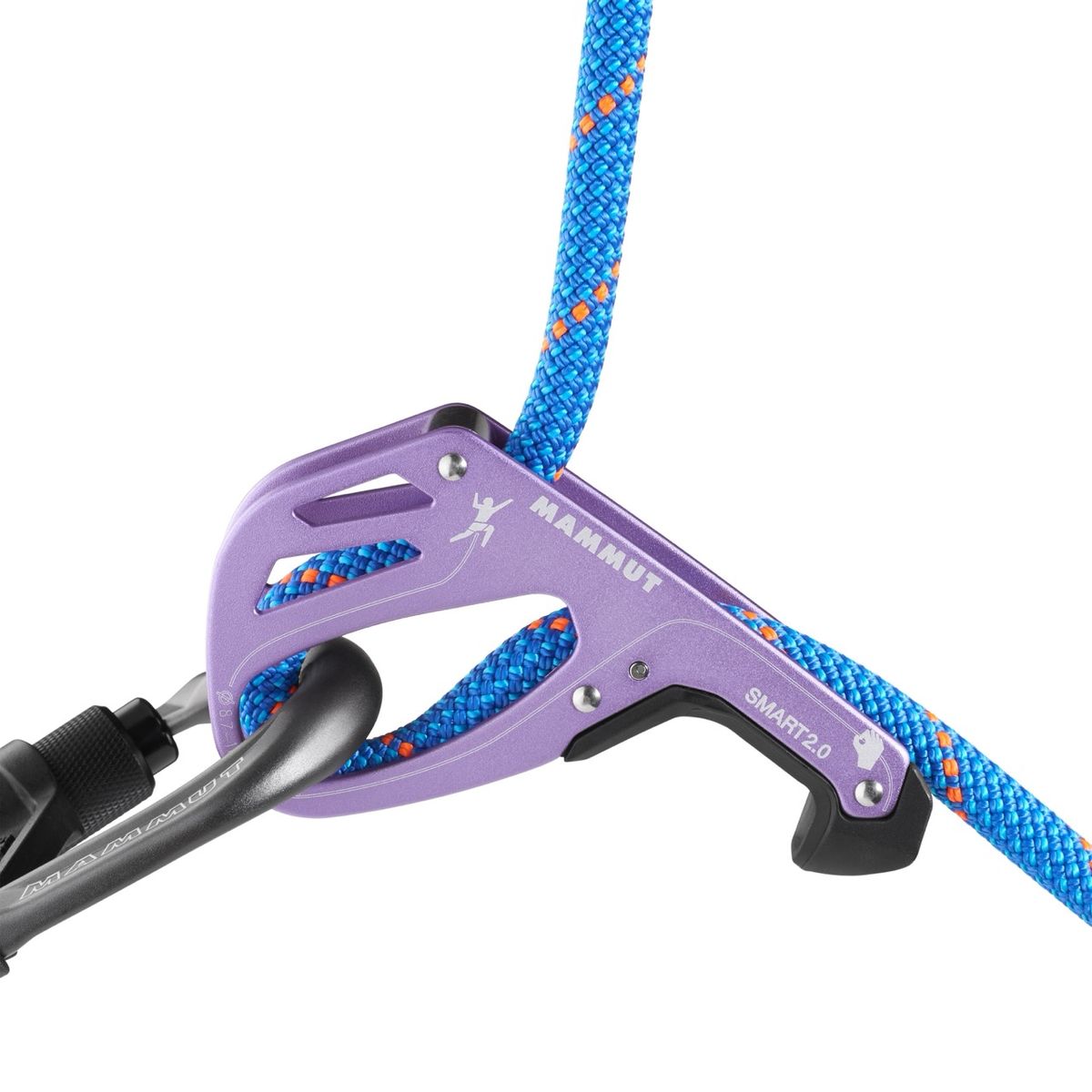 Mammut Smart 2.0 Belay Package alpine calamint