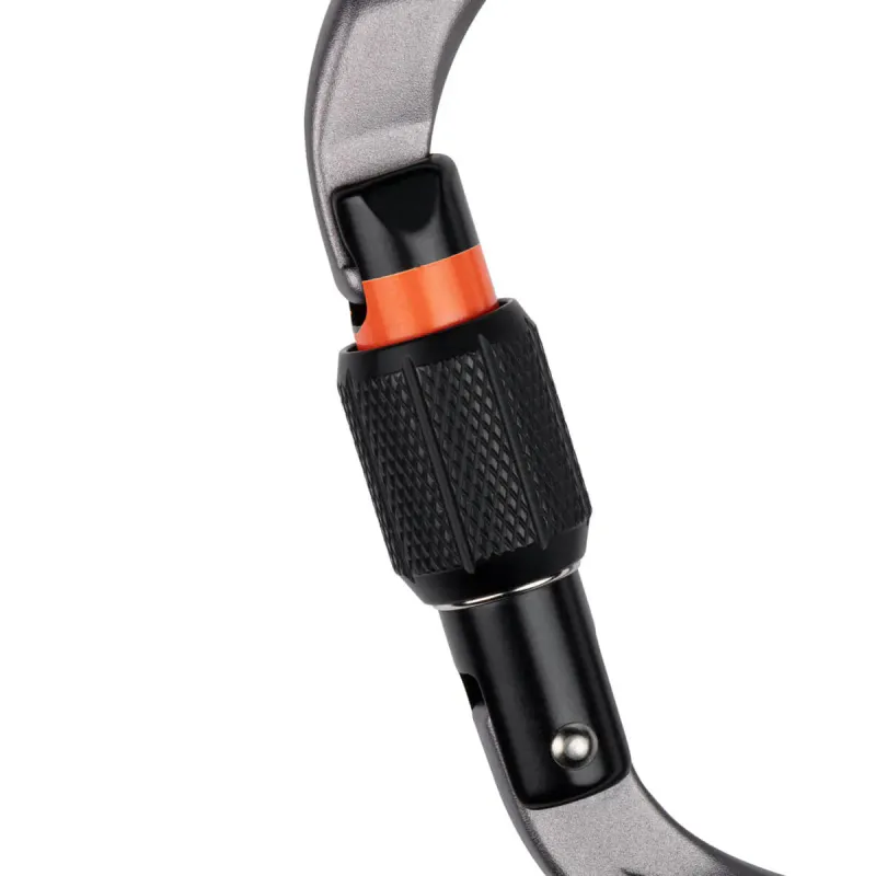 Mammut Workhorse HMS Screwgate carabiner grey